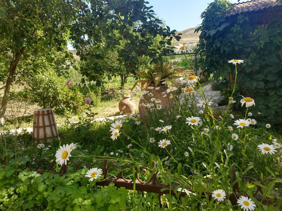 Gayane&Khikar B&B Ch'iva Luaran gambar