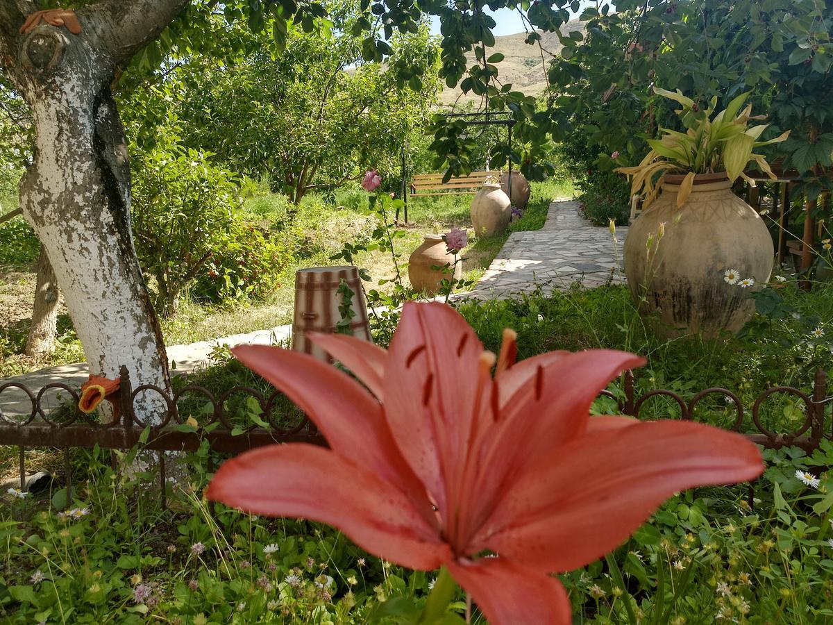 Gayane&Khikar B&B Ch'iva Luaran gambar